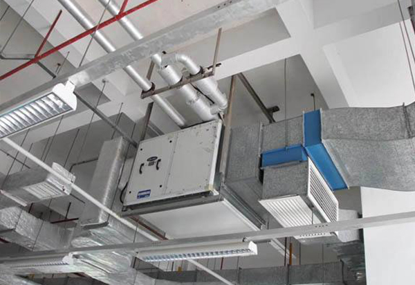 ���̰���